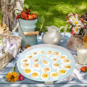 HAKSEN Deviled Egg Tray with Lid, Deviled Egg Platter Container Carrier 22 Slots for Refrigerator Home Kitchen Supplies