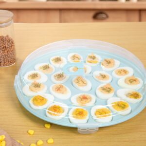 HAKSEN Deviled Egg Tray with Lid, Deviled Egg Platter Container Carrier 22 Slots for Refrigerator Home Kitchen Supplies