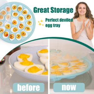 HAKSEN Deviled Egg Tray with Lid, Deviled Egg Platter Container Carrier 22 Slots for Refrigerator Home Kitchen Supplies