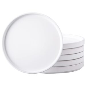 amorarc ceramic dinner plates set of 6, 10.0 inch matte stoneware plates for kitchen,modern flat dinnerware dishes set,microwave& dishwasher safe, scratch resistant, matte white