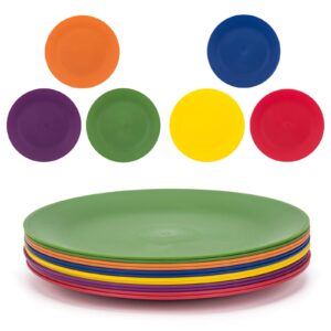 kx-ware plastic plates set of 12 - unbreakable and reusable 9.875 inches dinner plates, multicolor | dishwasher safe, bpa free