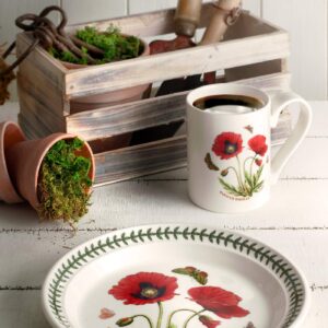 Portmeirion Botanic Garden Salad Plate | Set of 6 Salad Plates | Assorted Floral Motifs | Dishwasher, Microwave, & Oven Safe | 8.5 Inch | Made in England