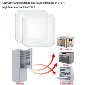 FOYO Oven Basics Glass Plate Set, Square Tempered Glass Serving Plates Pie Plate Salad Plates - 10" Diameter(Set of 2)