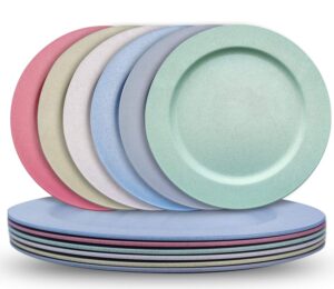 teetookea 10 inch wheat straw plastic plates (set of 6, assorted colors), dishwasher & microwave safe, reusable, unbreakable, lightweight, eco-friendly & bpa free for kids & adults