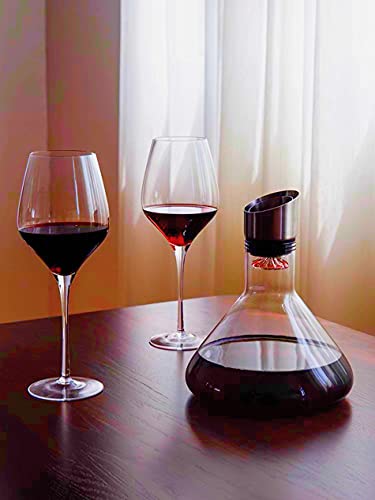 Smaier Wine Decanter Built-in Aerator Pourer（750ml）, Wine Carafe Red Wine Decanter,100% Lead-free Crystal Glass, Wine Hand-held Aerator, Wine Gift, Wine Accessories