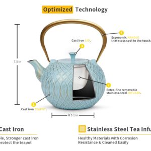 Tea Kettle, Toptier Japanese Cast Iron Tea Kettle for Stove Top, Stovetop Safe Teapot with Infusers for Loose Tea, 34 Ounce (1000 ml), Turquoise Melody