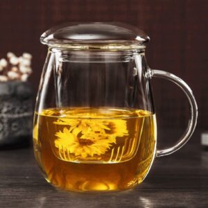 Tosnail 2 Pack 18 Ounce Large Glass Tea Cup with Lid and Tea Infuser Set, Tea Mugs with Strainer, Clear Teacups with Tea Filter, Glass Cups for Blooming Tea, Loose Tea Brewing