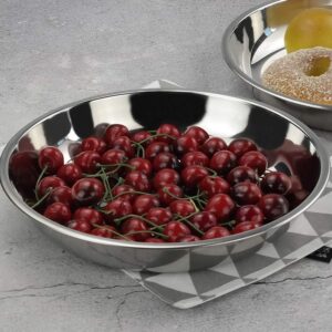 Hommp 4-Pack 10 INCHES Stainless Steel Round Plate/Camping Metal Dinner Plates