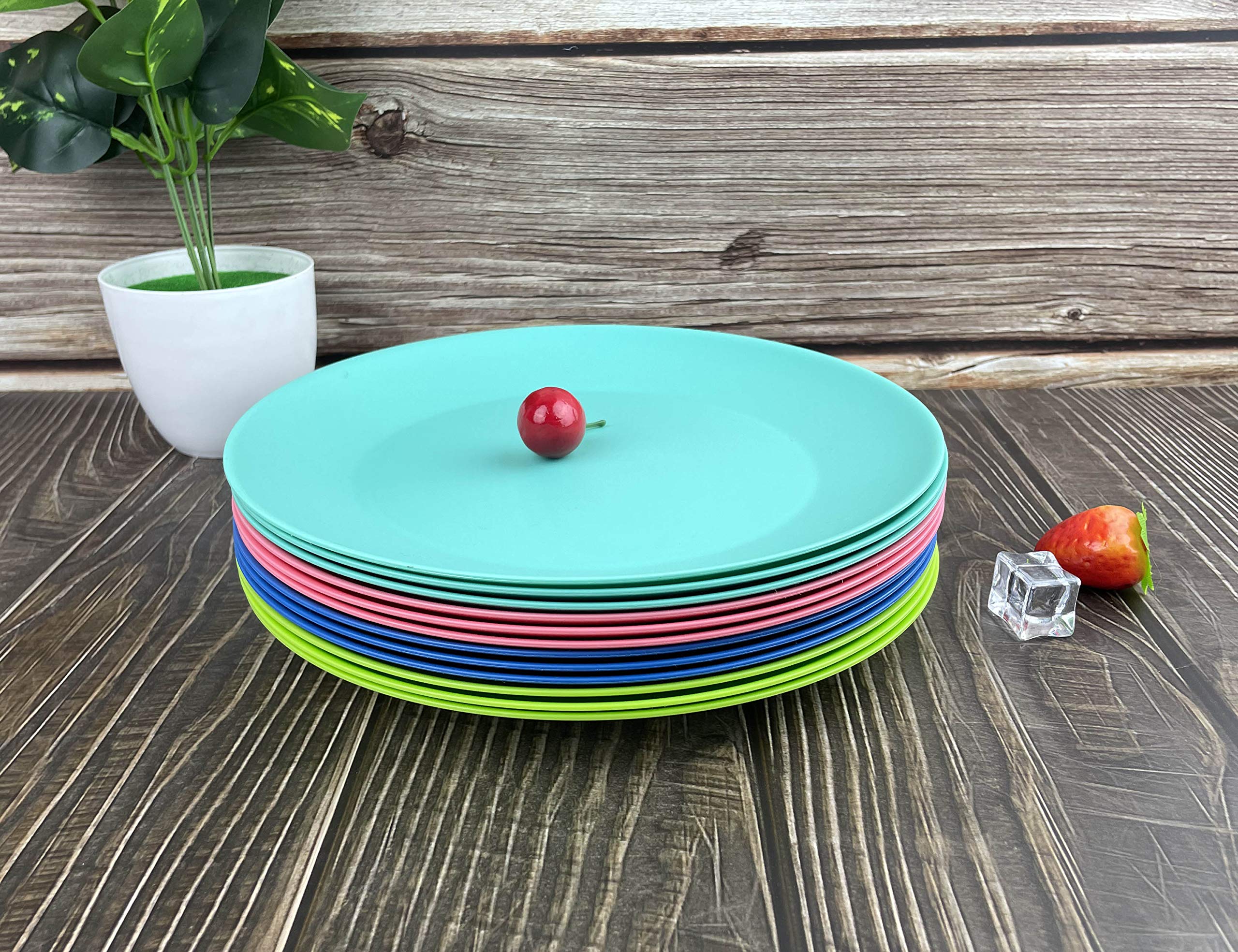 YUYUHUA Plastic Plates Reusable 10 inch - Kitchen Flat Dinner Plates - Dishwasher Safe & Microwavable Plates set of 12 - Kids Stacking Colorful Plates for Indoor Outdoor (BPA Free)