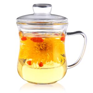 cnglass glass tea cup with removable infuser and lid,10oz thickened glass tea mug,clear filtrating tea maker for loose leaf tea,teabags