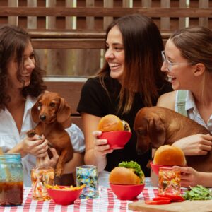 Burger Buddy Sandwich Holders 4 Pack, Flexible Silicone Bowls for Holding Hamburgers, Sloppy Joes, BBQ and Snacks, Heat Resistant and Microwave Safe, Reusable