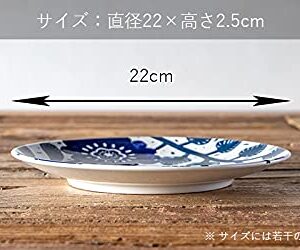 TAMAKI T-937112 Aica Plate L, Botanical Leaf, Diameter 8.7 x Height 1.0 inches (22.0 x 2.5 cm), Scandinavian, Modern, Stylish, Gift, Microwave, Dishwasher, Oven Safe