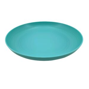 AOYITE 8-inch Plastic Plates Reusable, Lightweight Dinner Plate, BPA Free, Dishwasher Safe & Microwaveable, Dinnerware set of 6 Coastal Color