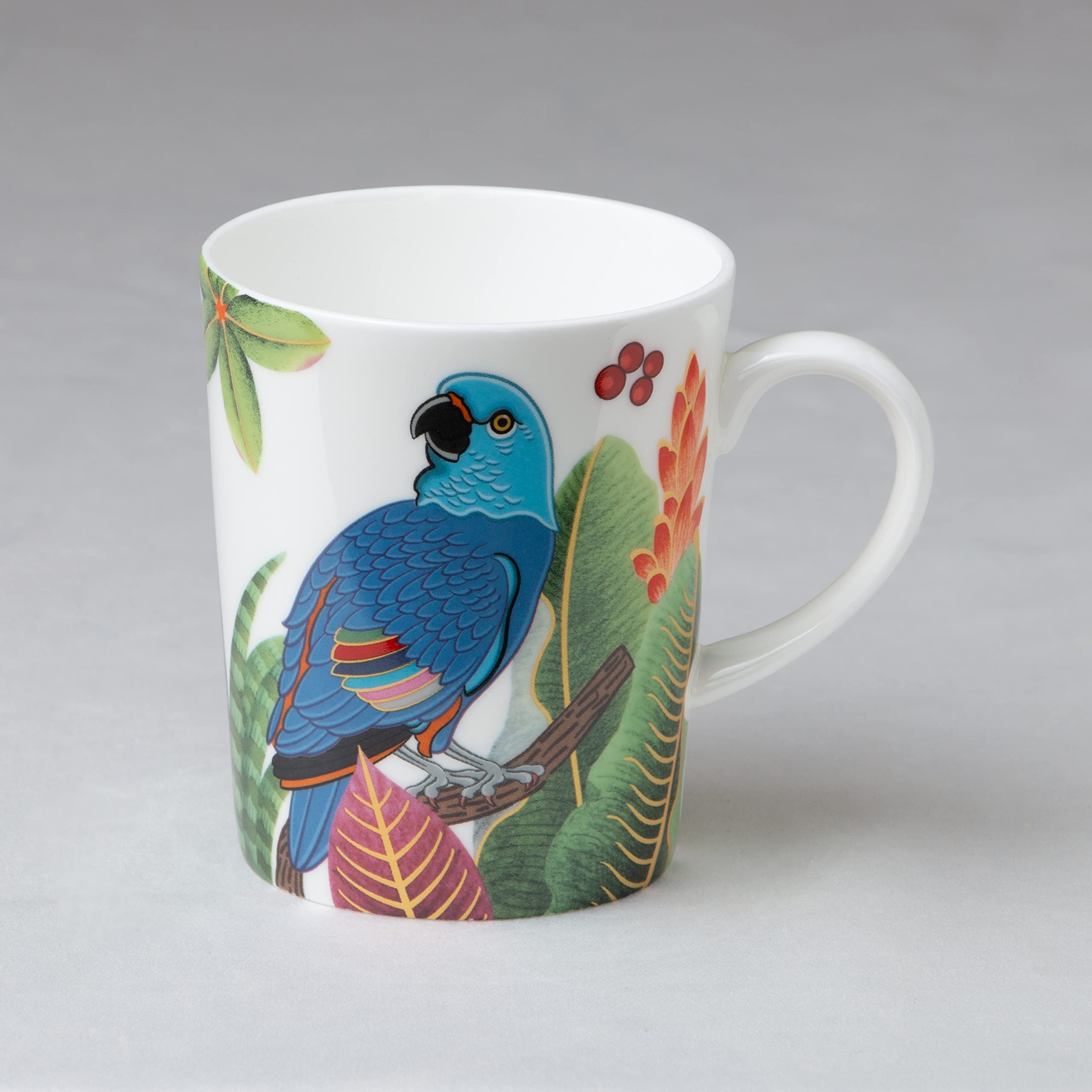 Grace Teaware Bone China Coffee Tea Mugs 12-Ounce, Assorted Set of 4 (Birds of Paradise)
