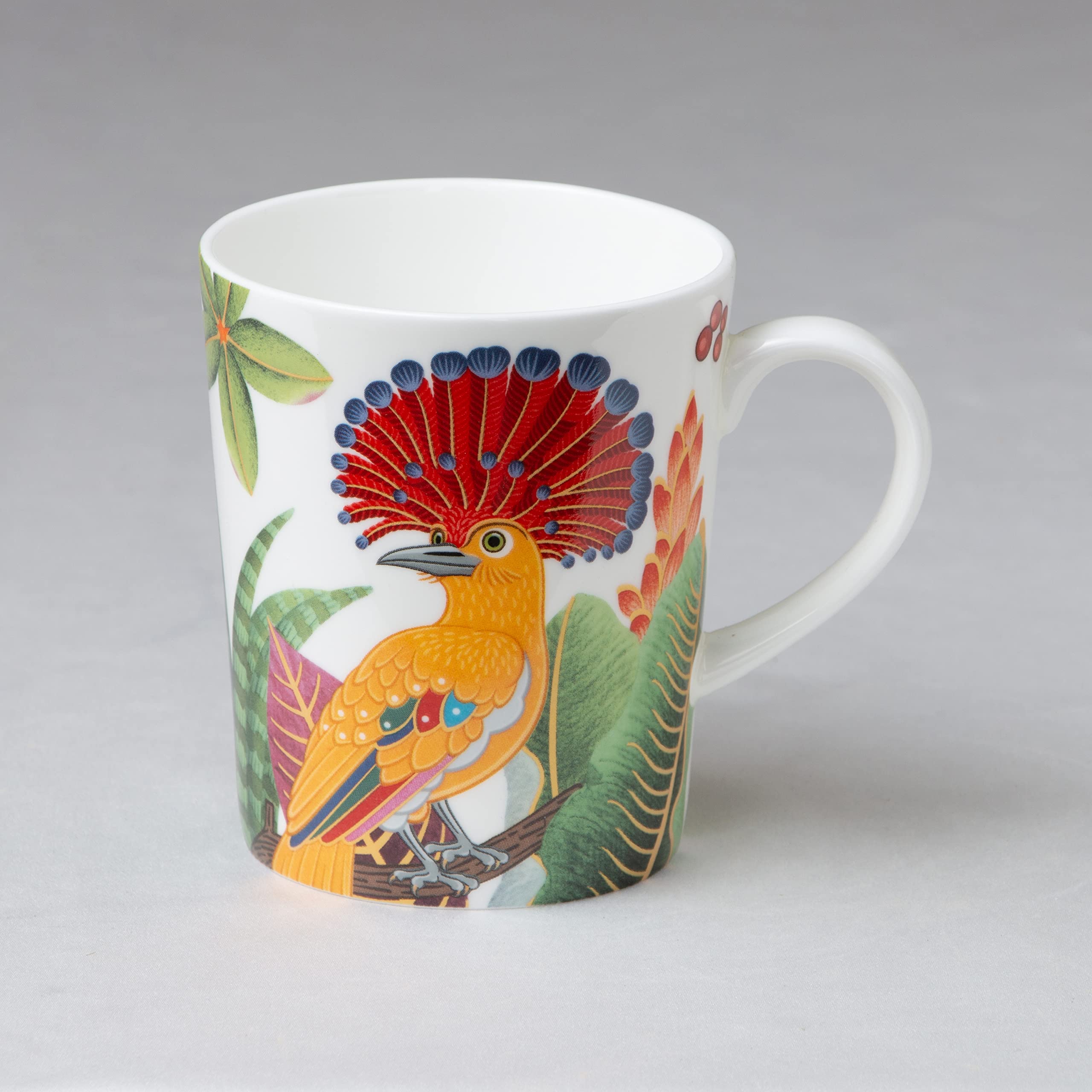 Grace Teaware Bone China Coffee Tea Mugs 12-Ounce, Assorted Set of 4 (Birds of Paradise)