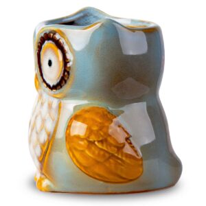 Berry President Owl Coffee Mug, Morning Ceramic Coffee Mug, Tea Cup for Office and Home, Dishwasher and Microwave Safe (12 oz, Cyan)