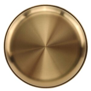 AIYoo Stainless Steel Gold Plates 2 Set Round Dinner Dishes 10 Inch Metal Plates Great for Picnic,Outdoor Camping Plate,Shatterproof & Dishwasher Safe…