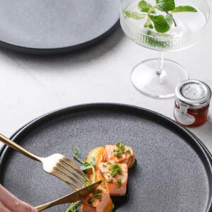 Lareina Dinner Plates, Scratch-resistant, 10.25 Inch Flat Ceramic Plate Set of 4, Porcelain Plates with Lipped Edge for Salad Steak in Kitchen Restaurant, Natural Primitive Texture (Cast Iron Black)