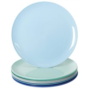 youngever 8 inch plastic plates, small plates, salad plates, dessert plates, set of 9 (coastal color)