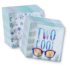 Two Cool Winter 2nd Birthday Party Supplies Set Plates Napkins Cups Tableware Kit for 16