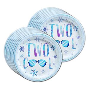 Two Cool Winter 2nd Birthday Party Supplies Set Plates Napkins Cups Tableware Kit for 16