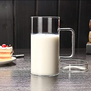 FLFK 20 Ounce Borosilicate Glass Coffee Mug Cup TeaCup-Glass Lid- High Capacity-Premium Quality Tea Mug for Reading