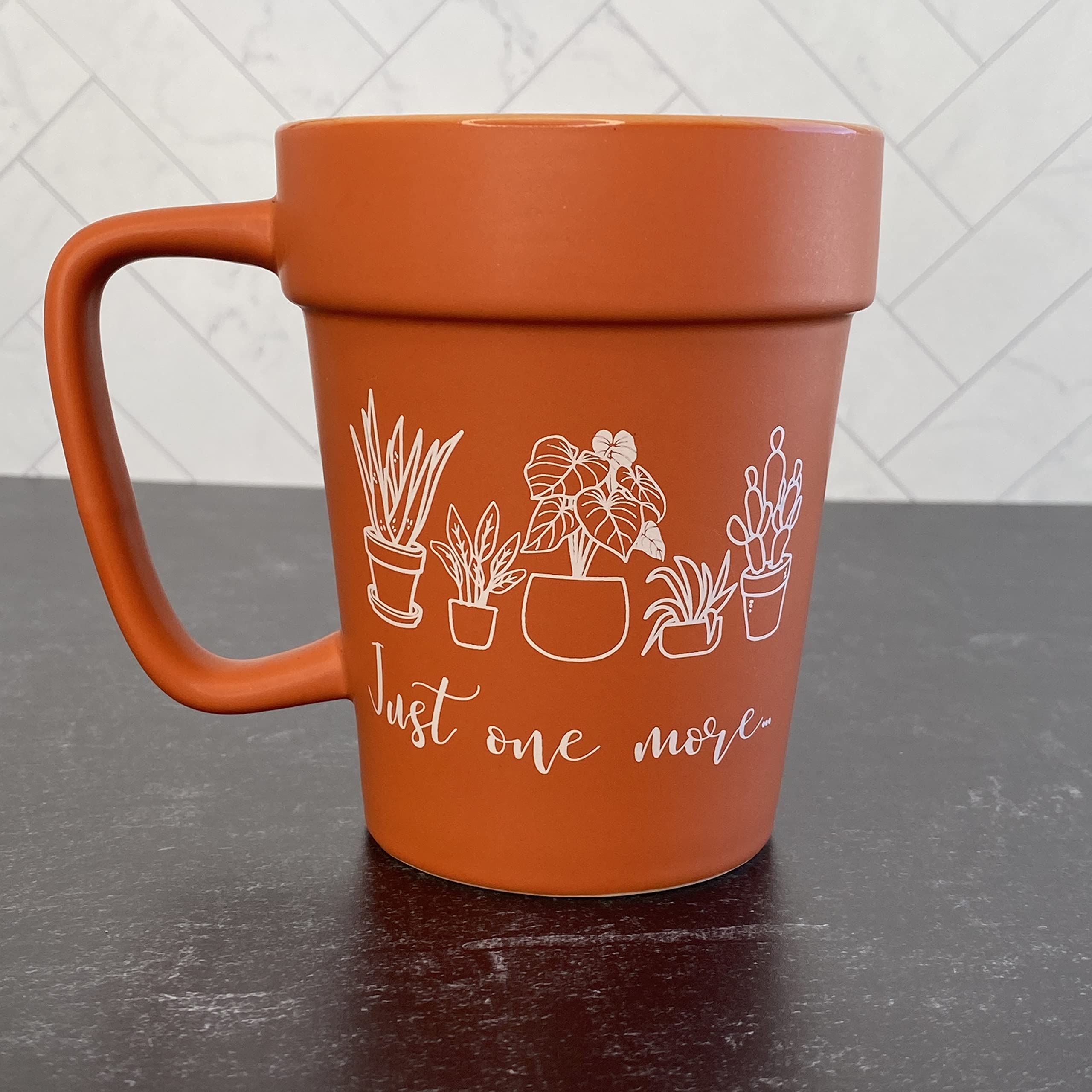 Plant Mug - Plant Gift - Plant Lady - Plant Lover Gift - Crazy Plant Lady - Coffee Lover Gift - Gift for Her - Gift for Mom - Garden Mug
