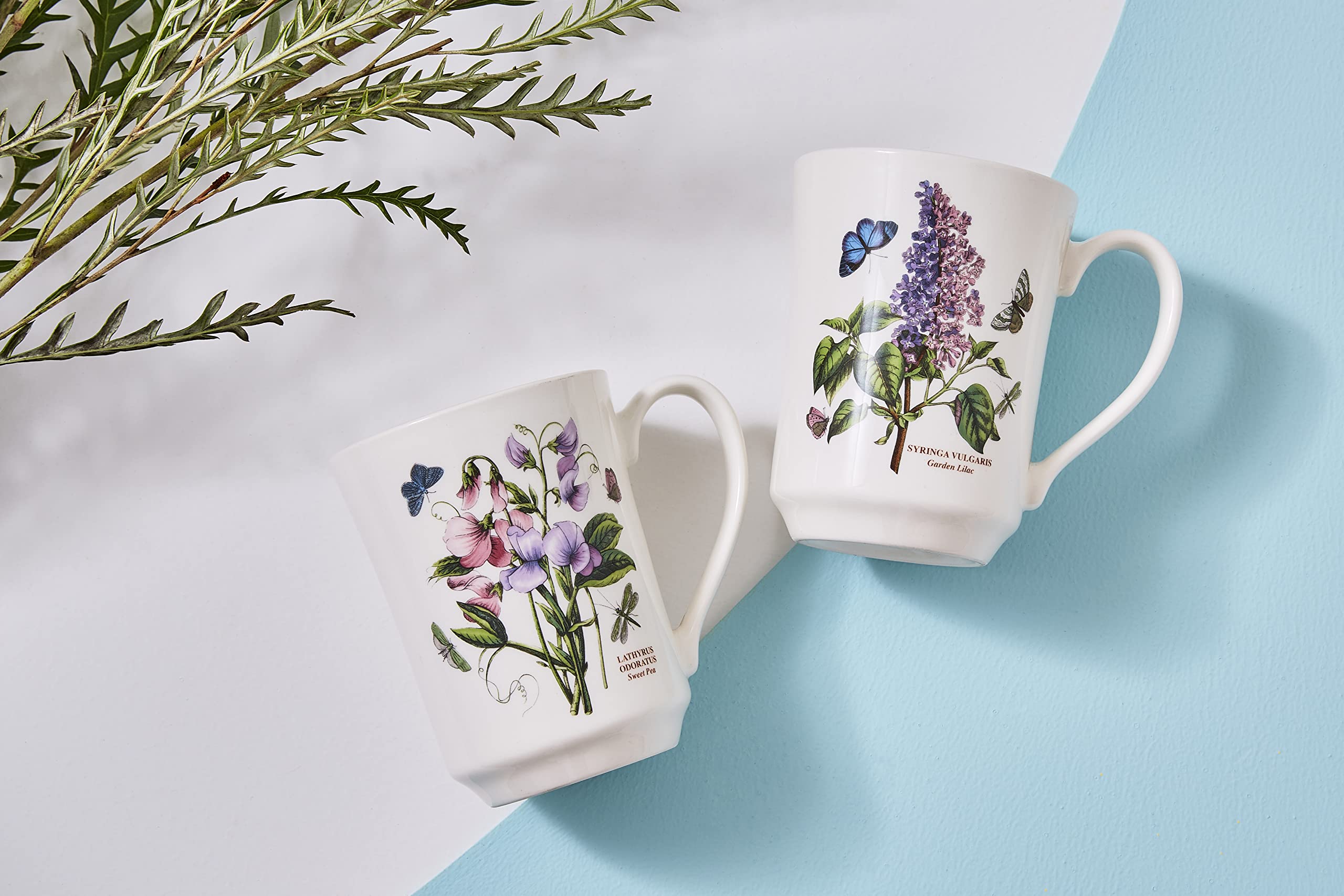 Portmeirion Botanic Garden Collection Flared Tankard Mug | 14 Oz Coffee Mug with Sweet William Motif | Made in England from Fine Earthenware | Dishwasher Safe