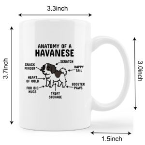 kunlisa Funny Havanese Mug Cup,Anatomy of a Havanese Ceramic Mug-11oz Coffee Milk Tea Mug Cup,Gifts For Dog Lovers Havanese Mom Dog Mom Women Men Teen Girls,Pet Lovers Coworkers Gifts