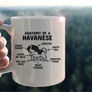 kunlisa Funny Havanese Mug Cup,Anatomy of a Havanese Ceramic Mug-11oz Coffee Milk Tea Mug Cup,Gifts For Dog Lovers Havanese Mom Dog Mom Women Men Teen Girls,Pet Lovers Coworkers Gifts