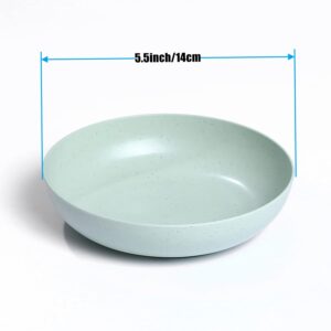 WANBY Lightweight Wheat Straw Cereal Plates Unbreakable Dinner Dishes Plates Set Dishwasher & Microwave Safe (Plates 10 Pack 5.6')