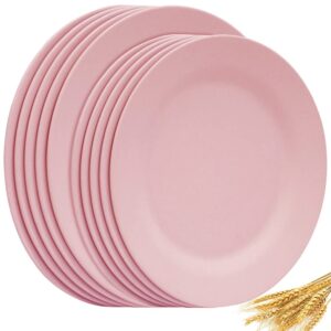 na 10" 11" dinner plates set of 10, reusable wheat straw dessert dishes, round pasta salad serving plate, unbreakable fiber dinnerware for party steak pizza (pink)