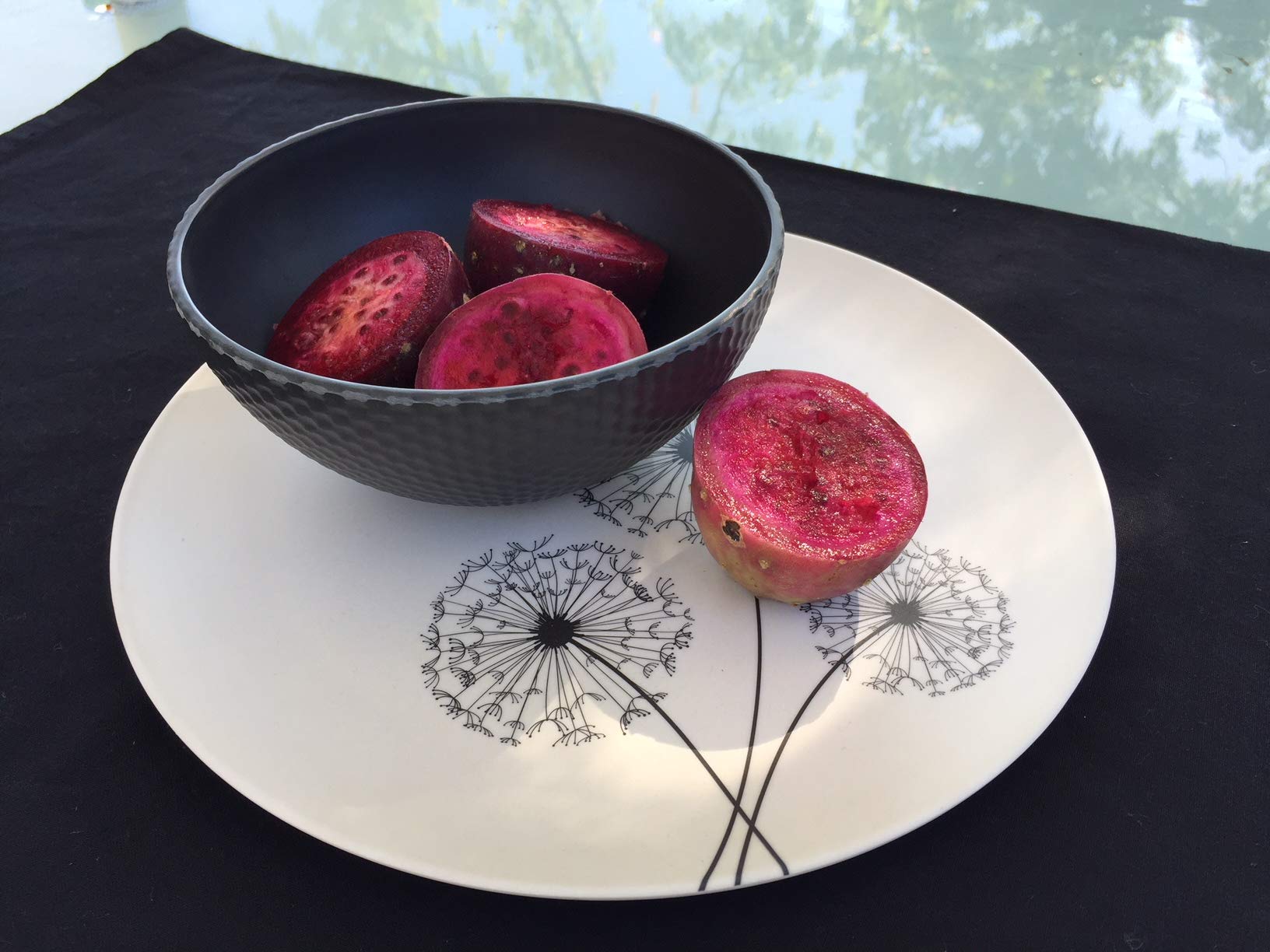 Aquaterra Living Ecofriendly Dinner Plate Set with Dandelion Designs- Set of 6, 10" indoor or outdoor plates