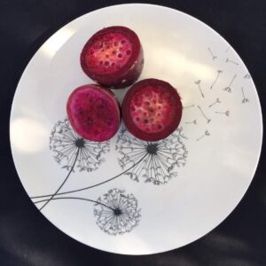 Aquaterra Living Ecofriendly Dinner Plate Set with Dandelion Designs- Set of 6, 10" indoor or outdoor plates