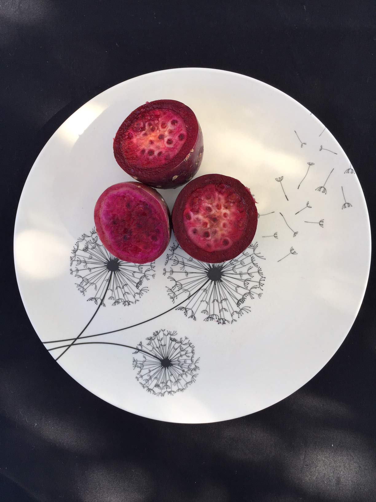 Aquaterra Living Ecofriendly Dinner Plate Set with Dandelion Designs- Set of 6, 10" indoor or outdoor plates