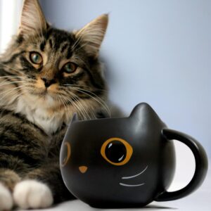 Brewish Cat Mug for Kitty Lovers | Cute Cup with a Witch Hat Lid & an Adorable Spoon | Ceramic Coffee & Tea Mugs | Gift for Cat Mom, Dad, Women, Kids | 12 oz, Black