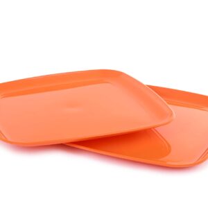 Mintra Home Reusable Plastic Plates (Orange, Square Serving Plate 2pk (14in))