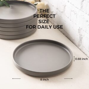 AmorArc Ceramic Salad Plates and Pasta bowls set(10PCS), Highly Chip and Crack Resistant | Dishwasher & Microwave Safe, Matte Grey Style