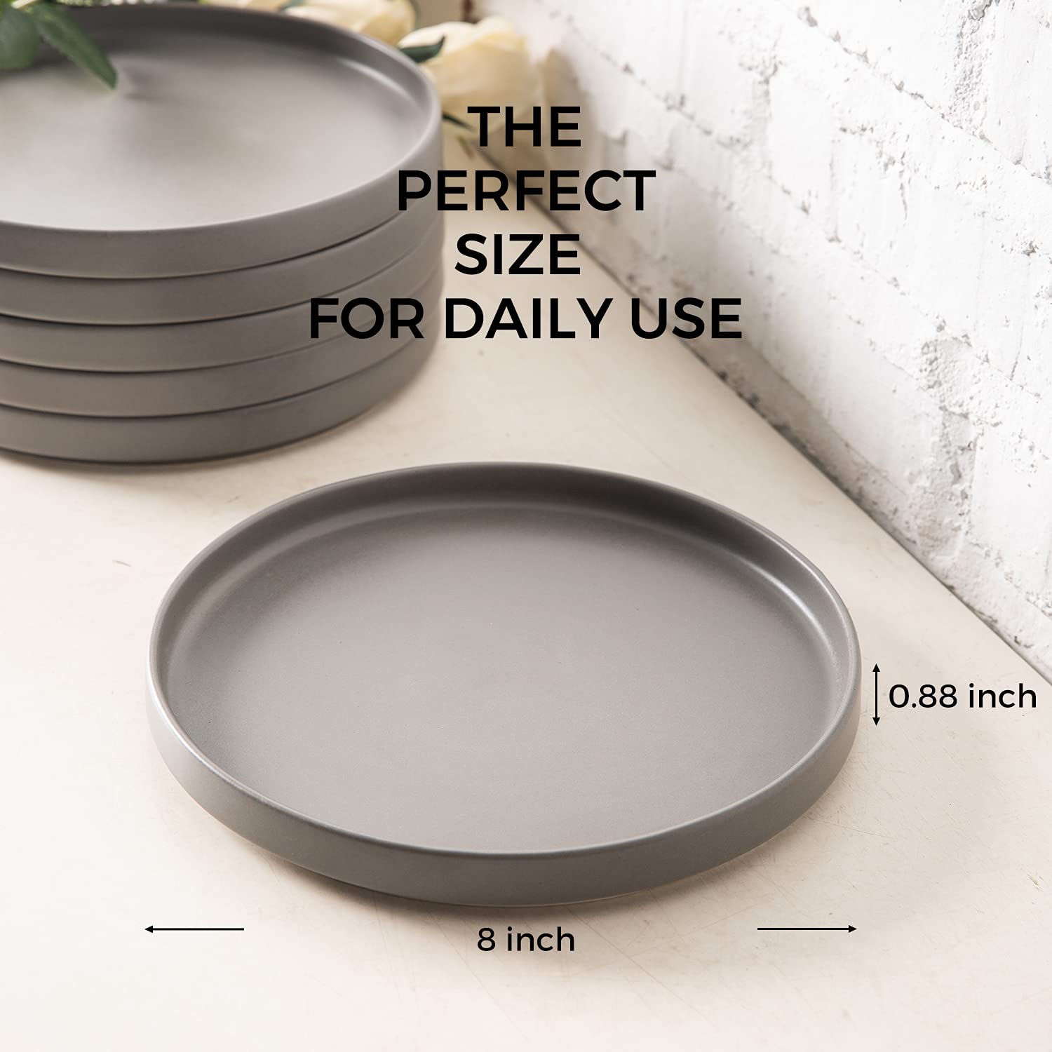 AmorArc Ceramic Salad Plates and Pasta bowls set(10PCS), Highly Chip and Crack Resistant | Dishwasher & Microwave Safe, Matte Grey Style