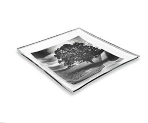 gac unique landscape design square tempered glass serving plates – 10.5 inch – set of 2 – break resistant – oven proof - microwave and dishwasher safe – attractive charcoal colored dinner plate set