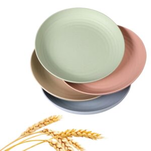 wanby lightweight wheat straw plates unbreakable dinner dishes plates set dishwasher & microwave safe (large 4 pack 9')