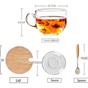 16oz Morning Mug Clear Glass Tea Cup Coffee Mug with Bamboo Lid and Saucer,Spoon