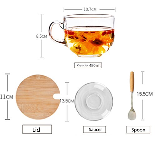 16oz Morning Mug Clear Glass Tea Cup Coffee Mug with Bamboo Lid and Saucer,Spoon