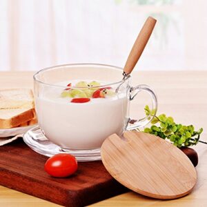 16oz Morning Mug Clear Glass Tea Cup Coffee Mug with Bamboo Lid and Saucer,Spoon