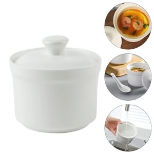 YARNOW Ceramic Stew Pot with Lid Small Steam Soup Bowl Steaming Cup for Home Kitchen Egg Custard Appetizer Bowl Style B, White Style B, 10X10CM