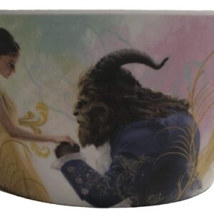 Zak Designs Kid's Soup Bowl and Bundles with Plates (Bowl 2 Pack, Beauty and the Beast)