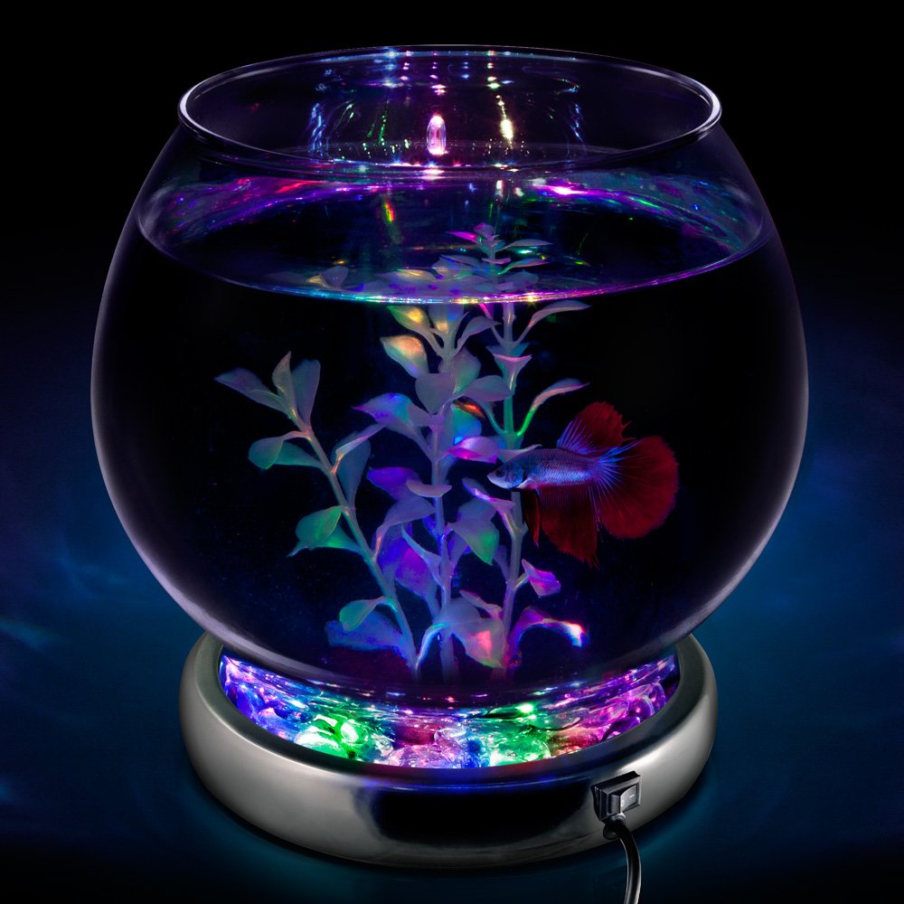 WavePoint 1237 Color Transformer LED Fish Bowl Kit, Large