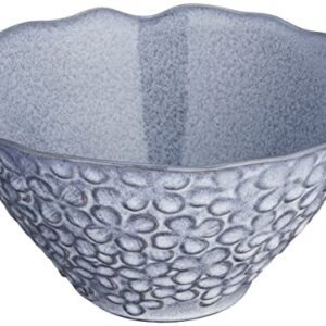 Aito Seisakusho 267822 Lien Salad & Fruit Bowl, Dish, Diameter Approx. 7.1 x Depth 6.7 inches (18 x 17 cm), L, Gray, Mino Ware Made in Japan