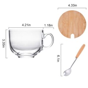 Aoderun Large Glass Coffee Mugs 15oz Ins Style Glass Cups With Lids Spoon, for Cappuccino, Coffee Latte Cereal Ice Cream Mike Dishwasher and Microwave Safe (Premium Tempered Glass)