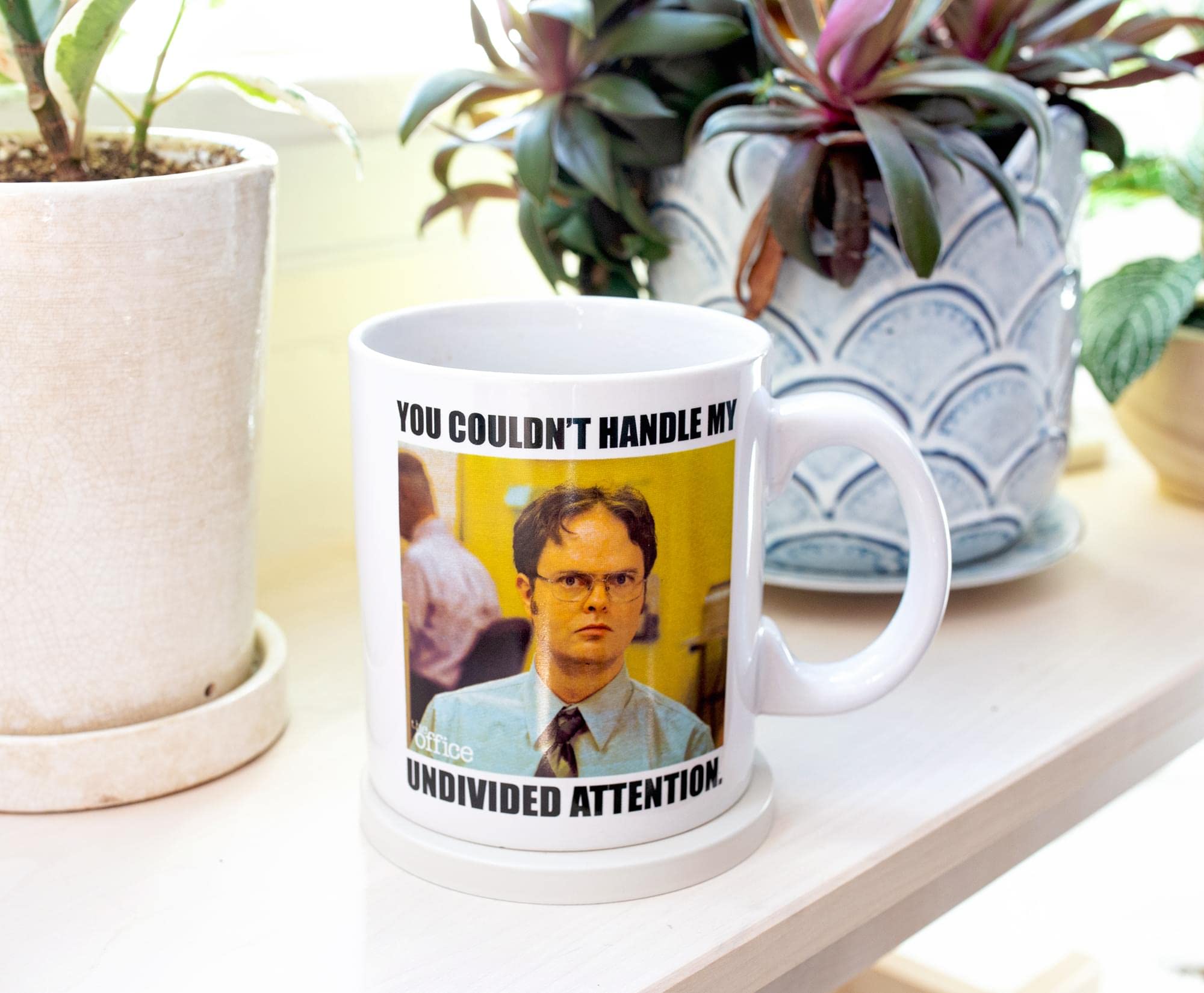 Silver Buffalo The Office Dwight Schrute Undivided Attention Ceramic Mug | Holds 20 Ounces